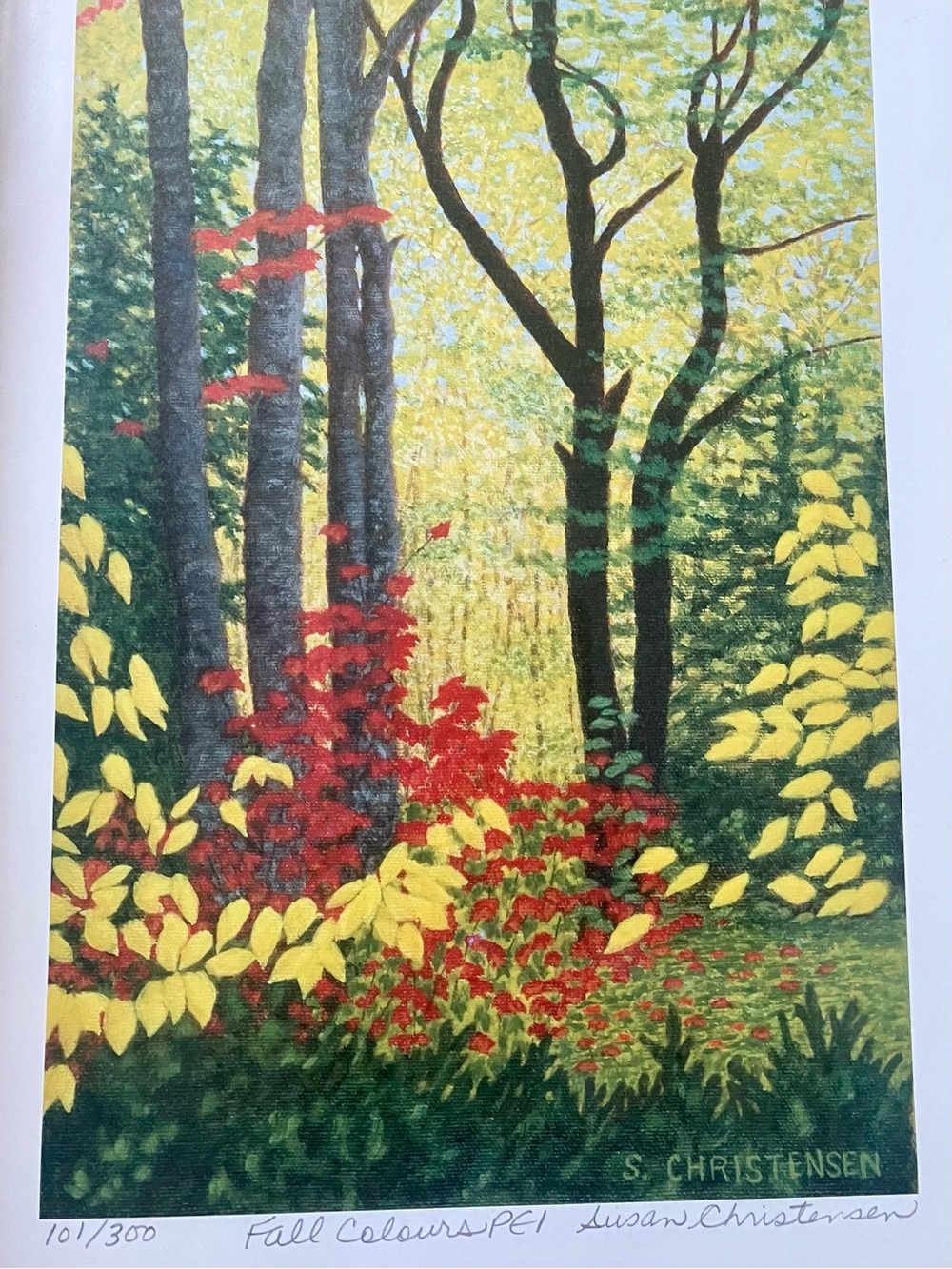 Framed fine art print